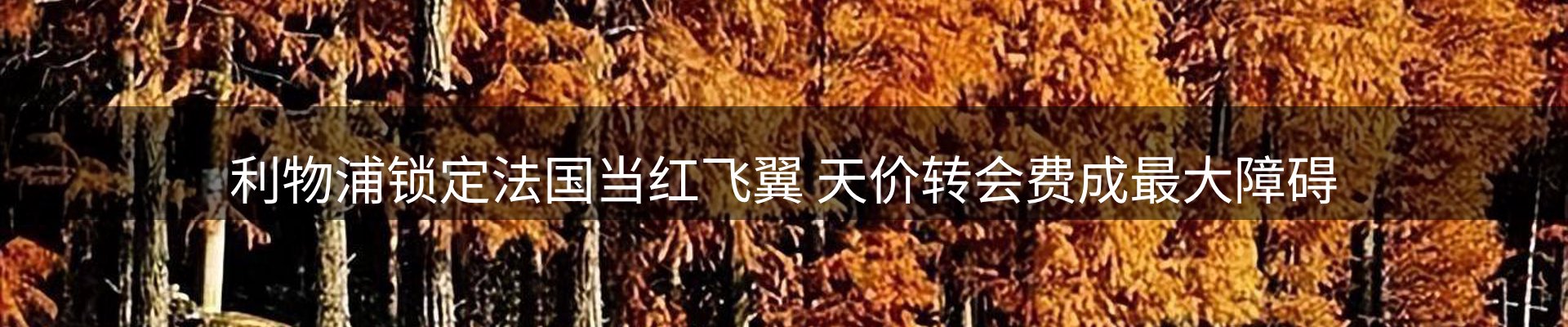 行业资讯